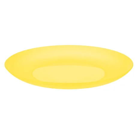 Talerz plastikowy płytki obiadowy płaski 22cm  6 szt. sg