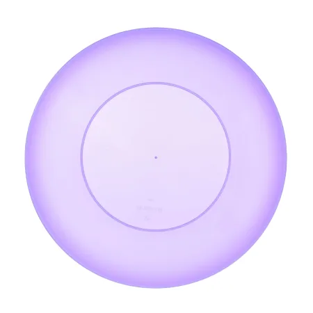 Talerz plastikowy płytki obiadowy płaski duży 25cm  6 szt. sg